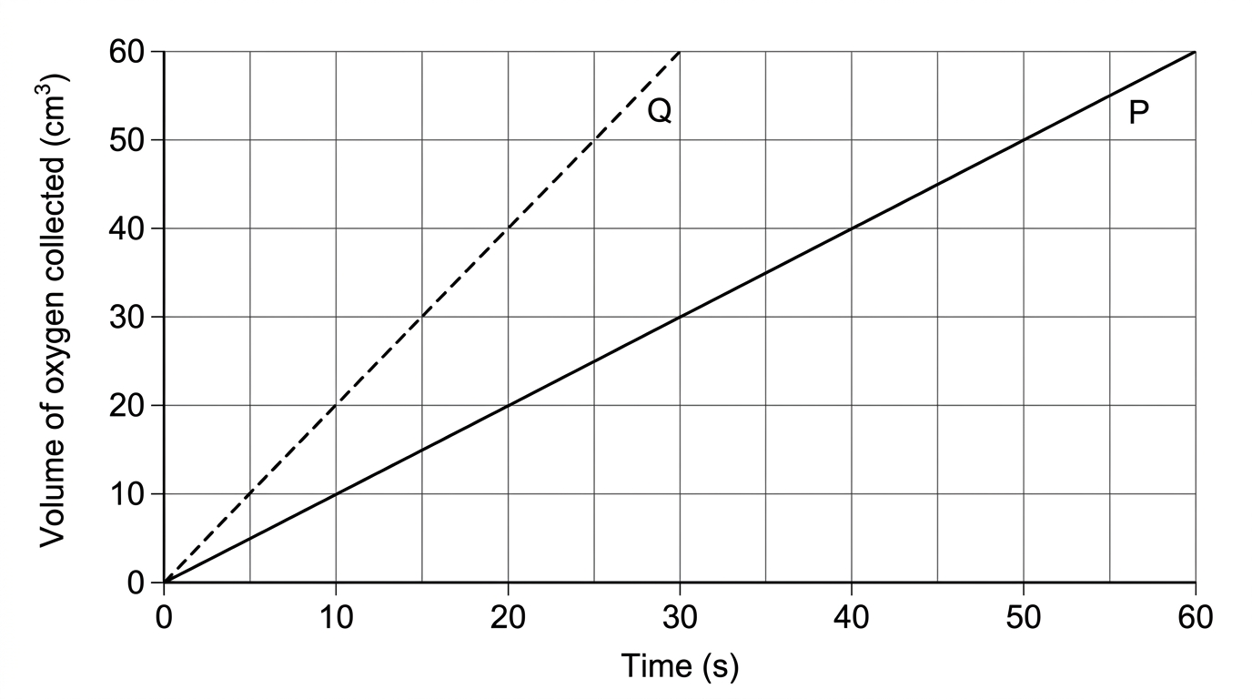 A graph of volume of oxygen collected in cubic centimetres against time in seconds, with a dashed line Q reaching 60 at 30 s and a solid line P reaching 60 at 60 s.